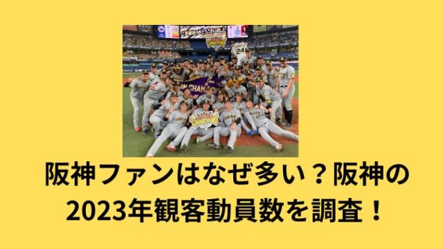 阪神ファンはなぜ多い？阪神の2023年観客動員数を調査！