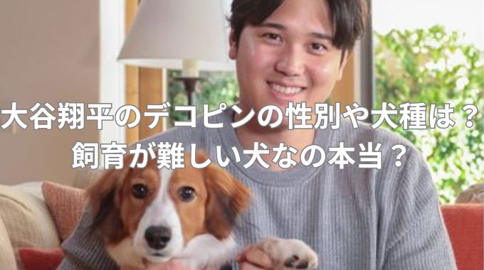 大谷翔平のデコピンの性別や犬種は？飼育が難しい犬なの本当？